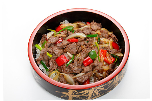 620.Gynikudon (boeuf) sur riz