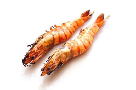 503.Ebi (gambas)